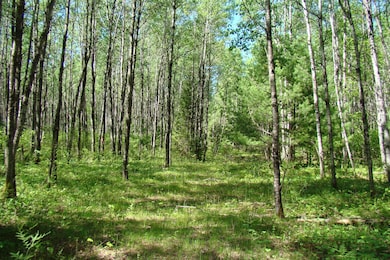 0 Burrows Lake Rd, Little Rice, WI 54487 - photo 3