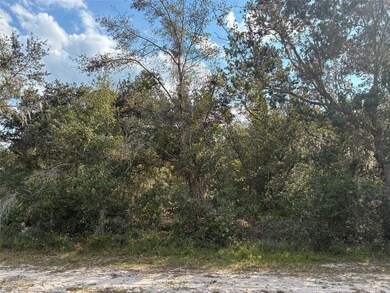 Lot 23 Blk 154 Plumosa Dr, Lake Wales, FL 33855 - photo 4
