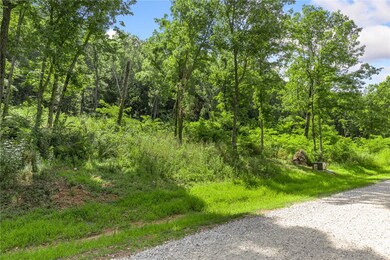 Lot 4 Significance Summit, Harrison, AR 72601 - photo 4