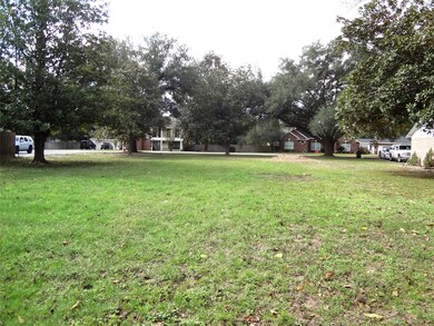 000 Beaumont Dr, Magnolia, TX 77354 - photo 6