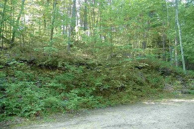 528 Berry River Rd, Barrington, NH 03825 - photo 5