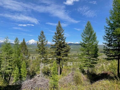 Panoramic View 2