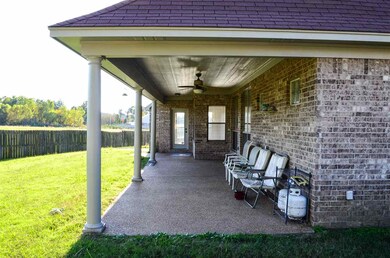 55 Willow Birch Cove, Somerville, TN 38068 - photo 5