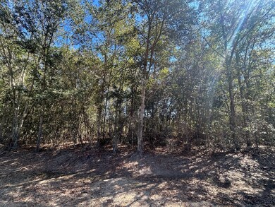 20+-ac Coot Adams Rd, Ashford, AL 36312 - photo 6