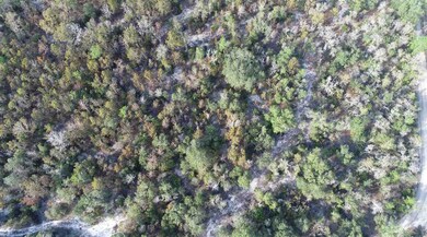 0 Clearwater Creek Ln, Perry, FL 32348 - photo 6