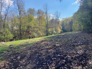 881 Galbraith Rd, Brooksville, KY 41004 - photo 5