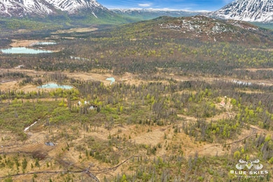 E Round Top Rd, Talkeetna, AK 99676 - photo 6