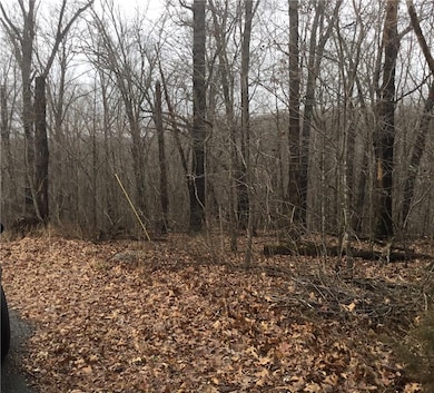 0 Hollym Cir unit 1137511, Bella Vista, AR 72715 - photo 4