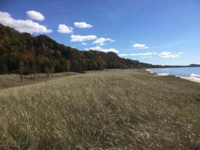 11 acres looking South LK MI