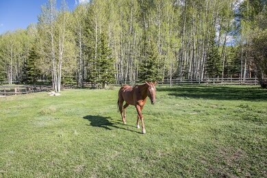 Lazy Dog Ranch Pastures
