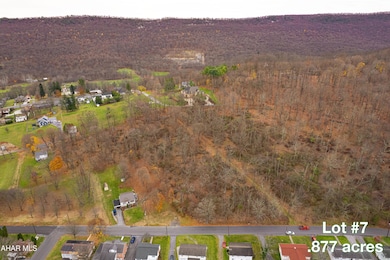 Lot 7 Off S Thomas St, Bedford, PA 15522 - photo 5