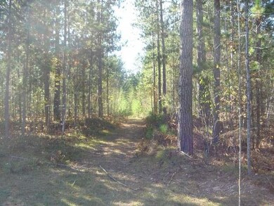 27 & 28 Whitetailed Deer Dr, Tomahawk, WI 54487 - photo 3