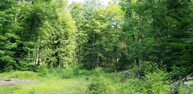 0 Jackson Lot Rd unit 4823396, Winchester, NH 03470 - photo 4