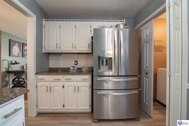 4033 New Jackson Hwy, Hodgenville, KY 42748 - photo 7