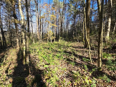 0WP Talbot Rd unit 1, West Winfield, NY 13491 - photo 7