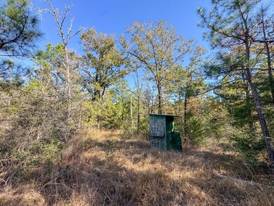 Rosenwall Rd, Huntsville, TX 77320 - photo 7