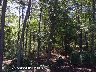 187 Nomoco Rd Yard 2