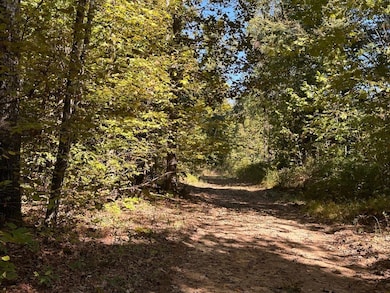 00 Sfc 700, Forrest City, AR 72335 - photo 5