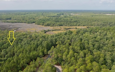 2955 Verrazano Ln SE, Lockwoods Folly, NC 28422 - photo 3