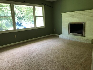 Living Room/Fireplace