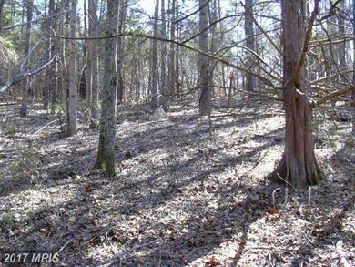 7 Lexington Ln, Earlysville, VA 22936 - photo 5