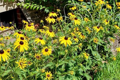 316 10th St, West Point, VA 23181 - photo 6