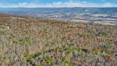 0 Maple Dr unit 20251539, Pikeville, TN 37367 - photo 3