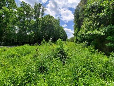 626 Double Bridges Rd unit 27B, Lunenburg, VA 23947 - photo 6