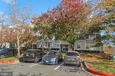 8378 Montgomery Run Rd unit D, Ellicott City, MD 21043 - photo 4