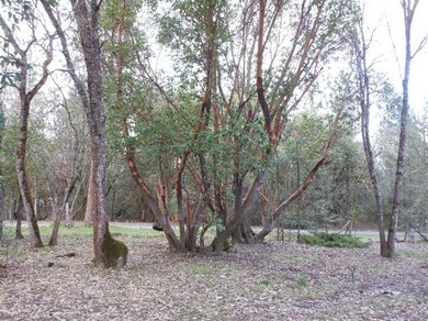 7775 Colonial Way, Central Point, OR 97502 - photo 6