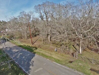 0 River Bend Dr unit 60811089, Brazoria, TX 77422 - photo 5