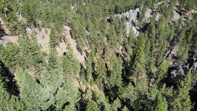 Photo_6553640_DJI_40_jpg_4068749_0_20216