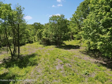 Lot 1 County Route 6, Clermont, NY 12526 - photo 7