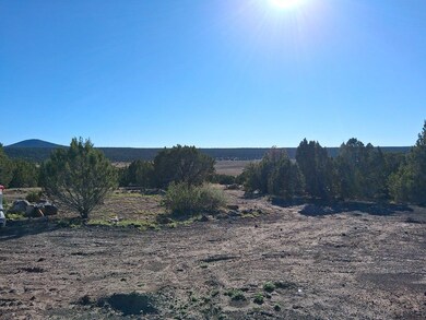 86 County Road 8227, Concho, AZ 85924 - photo 6