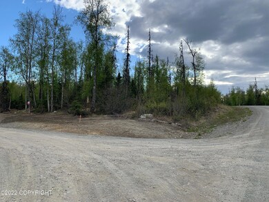 L3 B2 W Kelsi Loop, Wasilla, AK 99623 - photo 3
