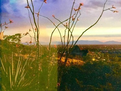 Lot 47 Thunder Rd, Alamogordo, NM 88310 - photo 2