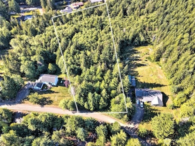 221 W Little Nahwatzel Dr, Shelton, WA 98584 - photo 4