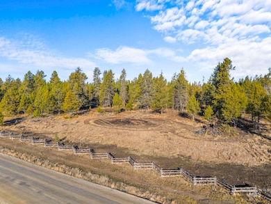 Lot 12 River Run Ct, McCall, ID 83638 - photo 3