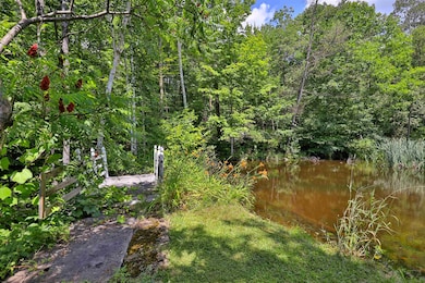 Pond on Moon Brook