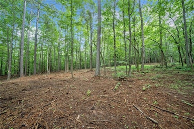 230 Brock Trail, Milton, GA 30004 - photo 4