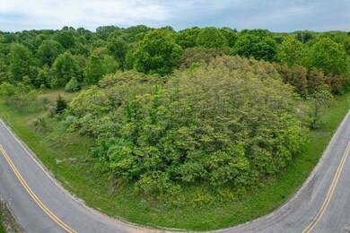 0 13th Ave unit 3 25034383, South Haven Charter Township, MI 49090 - photo 3