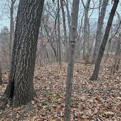 2034 10th St, Des Moines, IA 50314 - photo 3