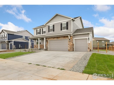 6169 Yellowtail St, Timnath, CO 80547 - photo 3