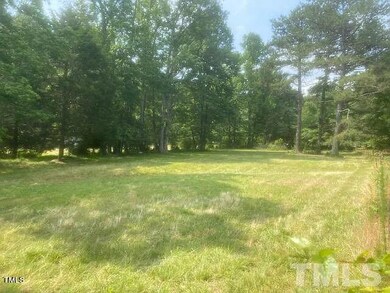 192 Country Routt Brown Rd, Pittsboro, NC 27312 - photo 6