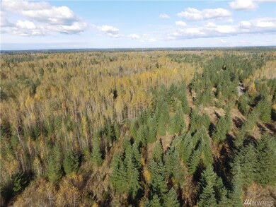 11 Starflower Ln SE, Yelm, WA 98597 - photo 5