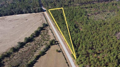 001 Open Pond Rd, Florala, AL 36442 - photo 2