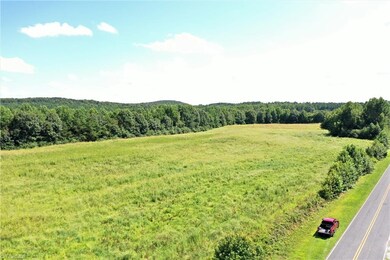 00 Pisgah Covered Bridge Rd, Asheboro, NC 27205 - photo 4