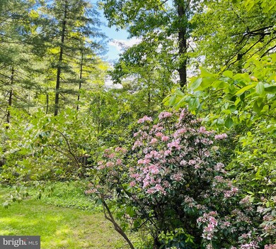 9115 Coronado Terrace, Fairfax, VA 22031 - photo 6