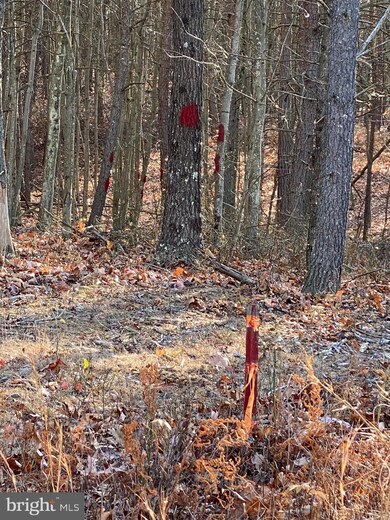 LOT 237 Ridge View Rd, Moorefield, WV 26836 - photo 3