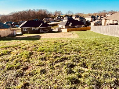 843 S Cobble Creek Blvd unit Lot 128, Nixa, MO 65714 - photo 2